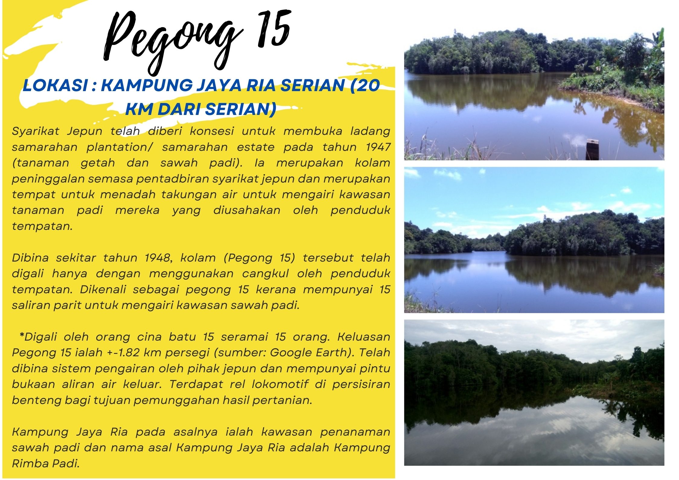 Pegong 15